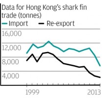 The shark fin trade in Hong Kong has declined in recent years. Source: WWF.