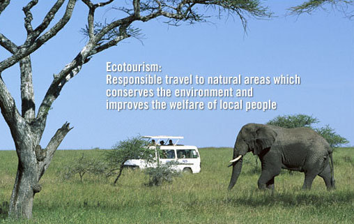 Photo credit: University of Michigan.