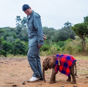 Yao Ming has broadened his focus to reducing consumer demand for ivory and rhino horn. Photo credit: WildAid.