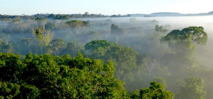 By decreasing tropical deforestation rates so dramatically, Brazil has cut greenhouse gas emissions more than any other country in the world. Photo credit: Climate Central.