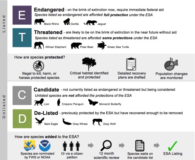 endangered-species-act-infographic
