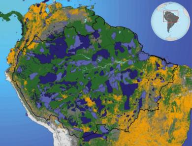 A map of protected areas (light purple) and indigenous lands (dark purple) in the Amazon. Deforested areas are in yellow. By strategically protecting lands along the advancing arc of deforestation, the government was able to maximize the effectiveness of protected areas. Photo credit: Woods Hole Research Center.