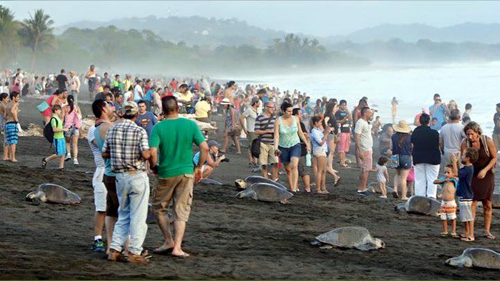 12006213_1025117757519392_6505287356367406967_n