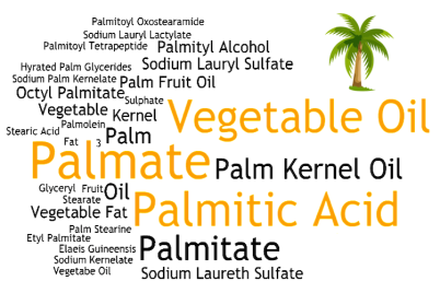 Palm oil word cloud