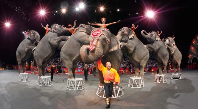 ringling+brothers