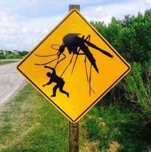 mosquito sign