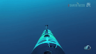 shark-attacks-underwater-drone