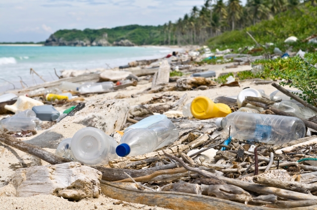 marine-plastic-pollution