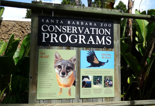 zoo-conservation-programs