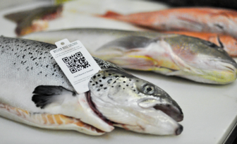 seafood-fraud-oceana